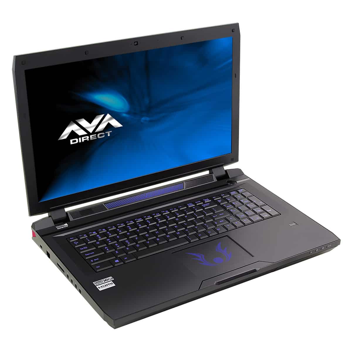 AVADirect P375SM Gaming Notebook