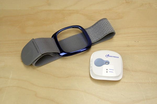 BodyMedia Link Armband