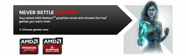 AMD Never Settle Forever
