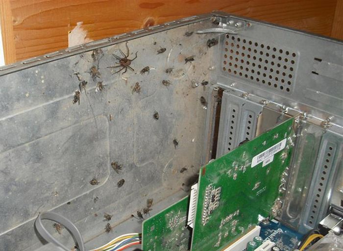 the disgusting things found inside pcs 04