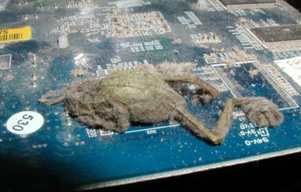the_disgusting_things_found_inside_pcs_11