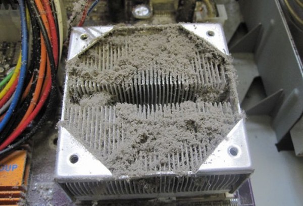 the_disgusting_things_found_inside_pcs_15