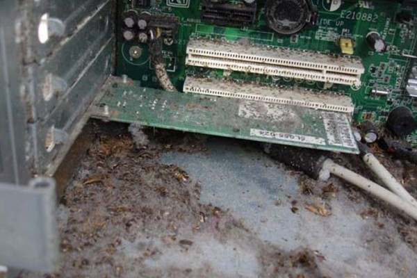 the_disgusting_things_found_inside_pcs_29