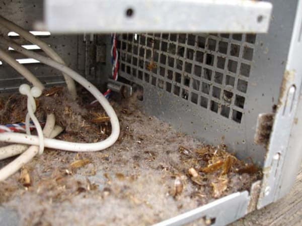 the_disgusting_things_found_inside_pcs_36