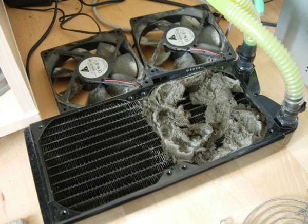 the_disgusting_things_found_inside_pcs_40