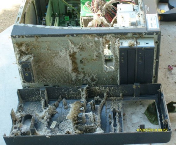 the_disgusting_things_found_inside_pcs_41