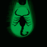 24