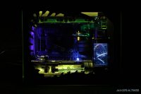 900x900px-LL-75cc66c1_IMG_4693