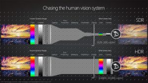 amd-display-3