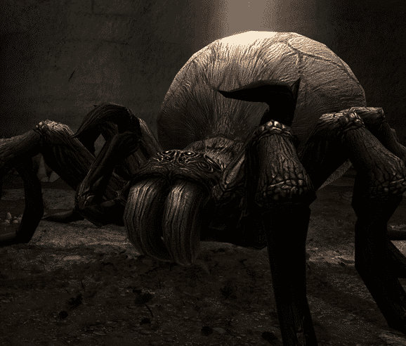 spider