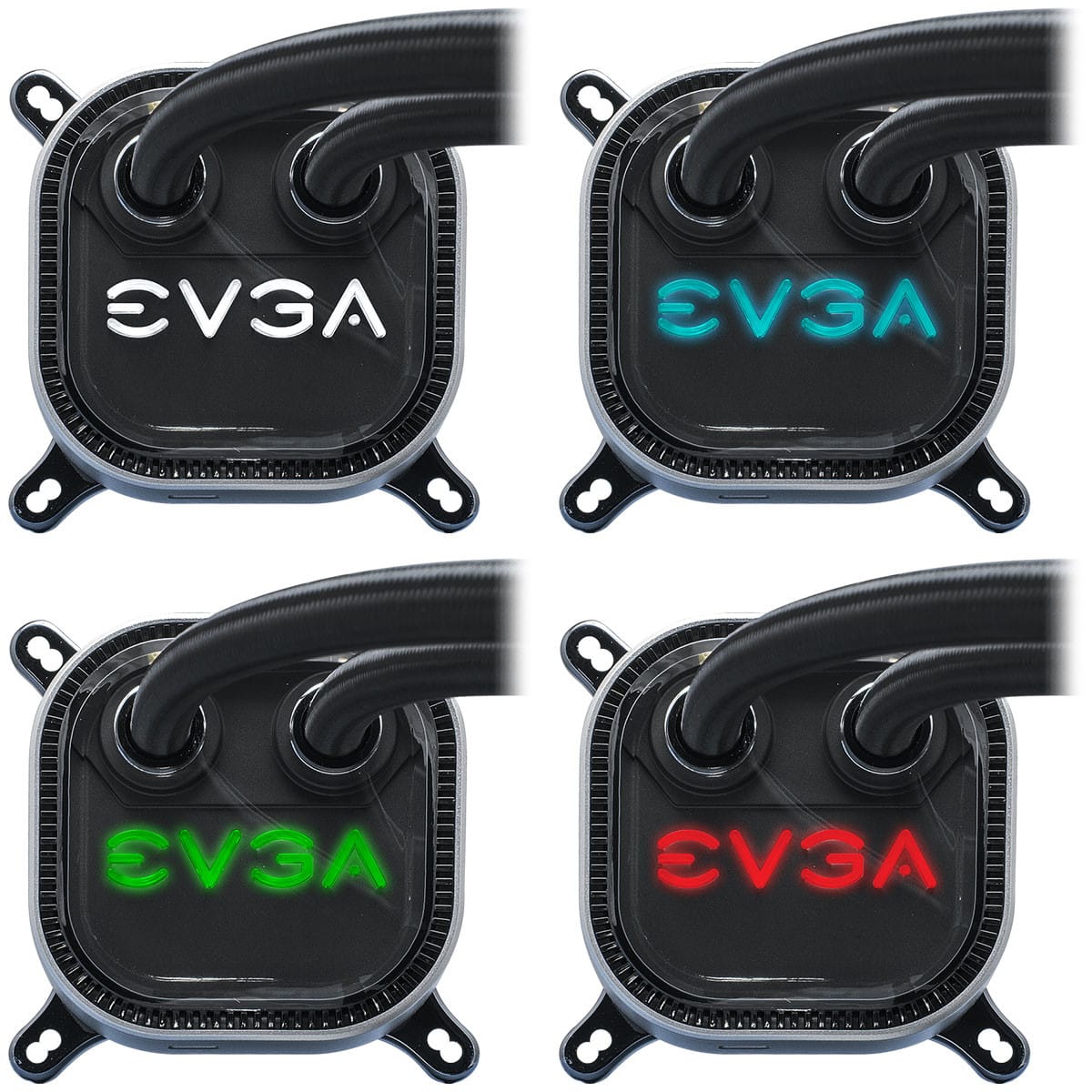 ecga 4