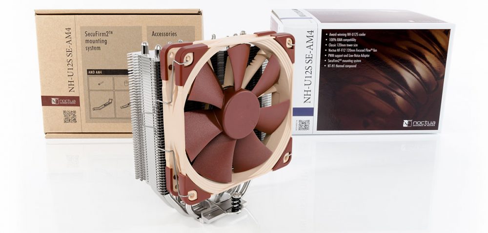noctua-2