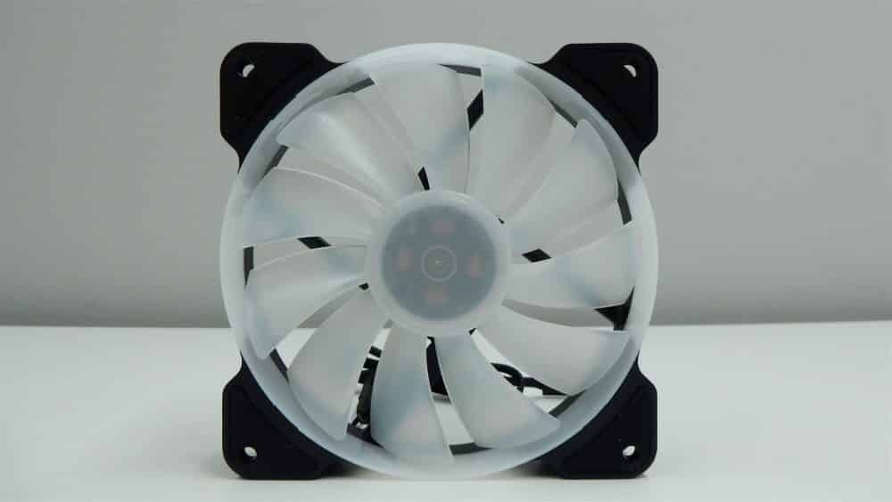 Reeven KIRAN Fan1 Large