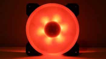 Reeven KIRAN Fan10 Large