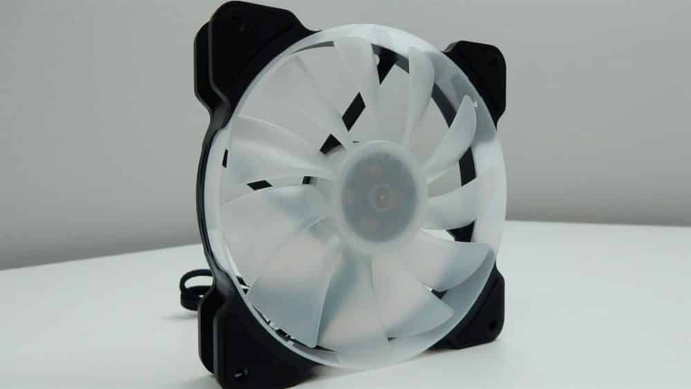 Reeven KIRAN Fan3 Large