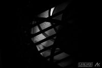 DSC00041