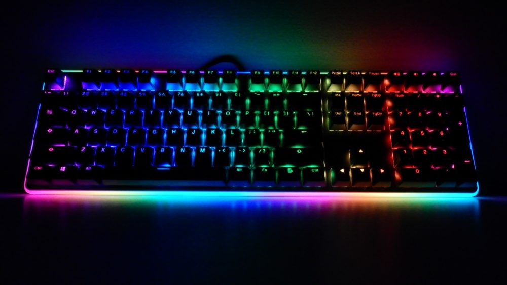 NEON K81 15 Large