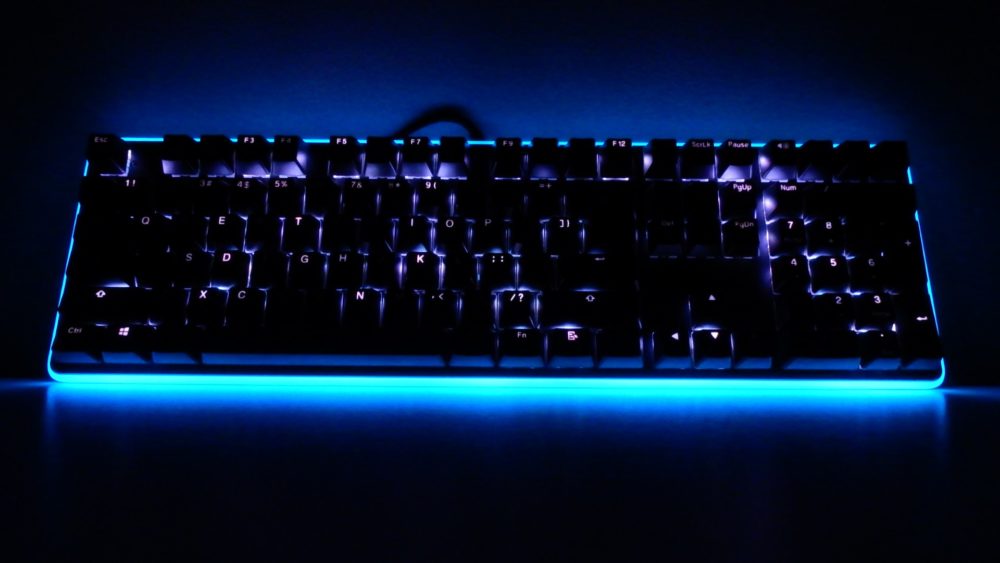 NEON K81 16 Large