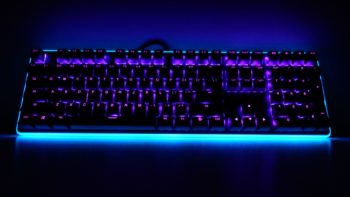 NEON K81 17 Large