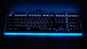 NEON K81 19 Large