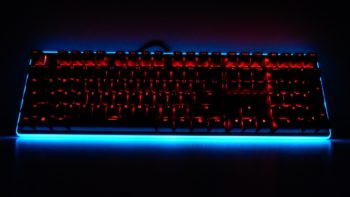 NEON K81 20 Large
