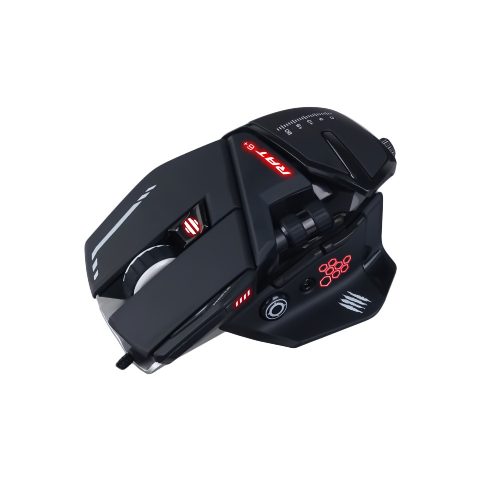 rat6