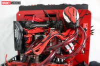 7D86bjW