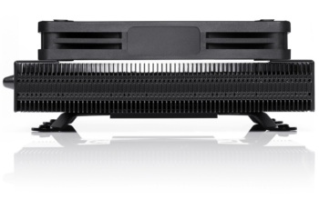noctua 3