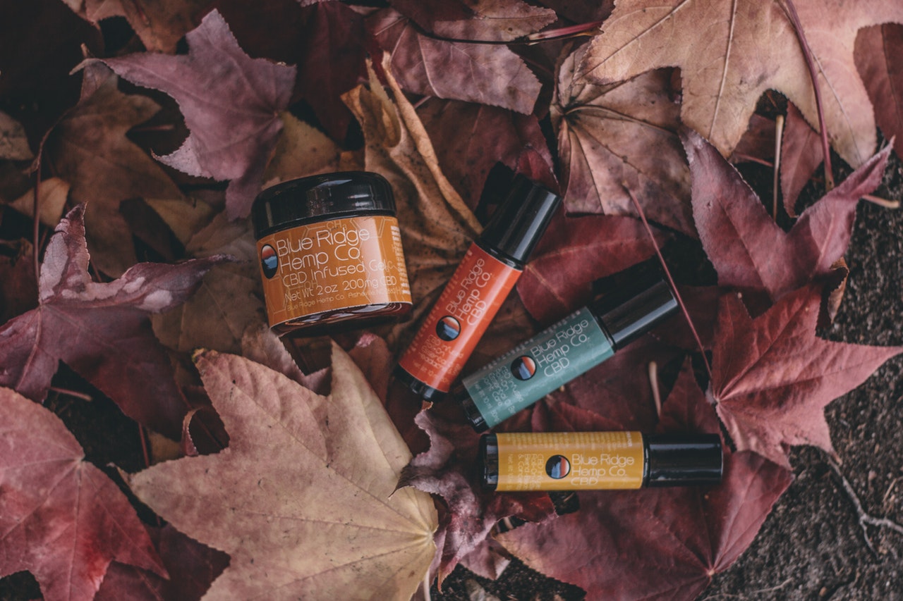 flat lay photography of several product bottles on withered 1667071