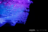 4D4A0062.jpg.9f689522db33c7d9885d827d7e2af5b3