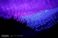 4D4A0067.jpg.53279415f49df1eae3c1984fb4feac29