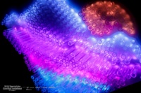 4D4A0070.jpg.c1c22fde7b61f44041da921dc7373eb8