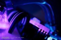 4D4A0078.jpg.c6342079d1b64e7549f00d6220619955