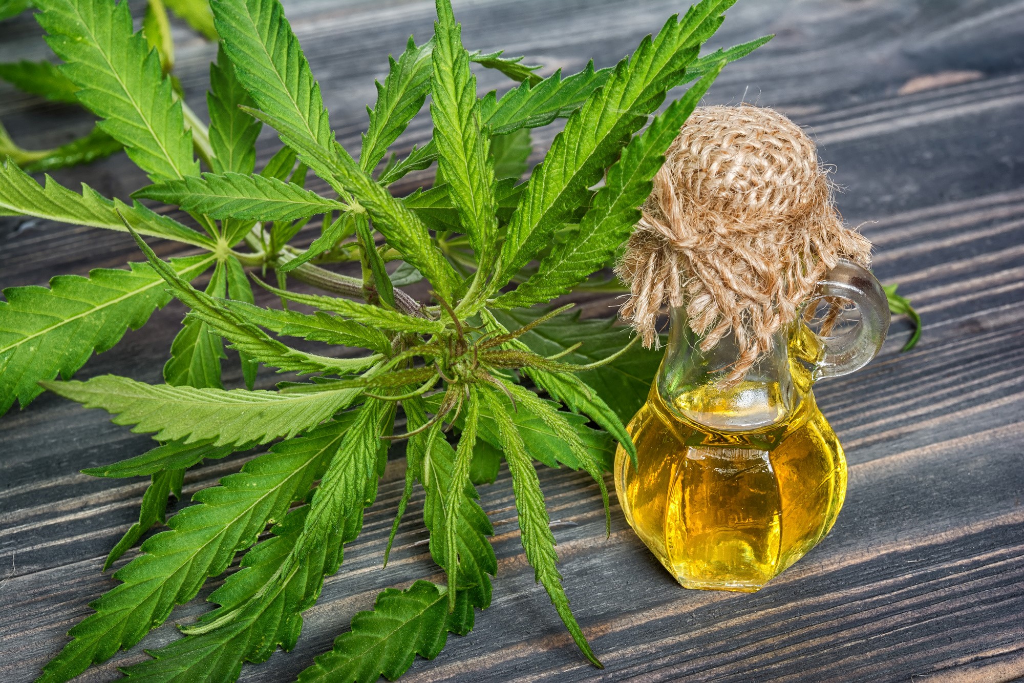 cbd