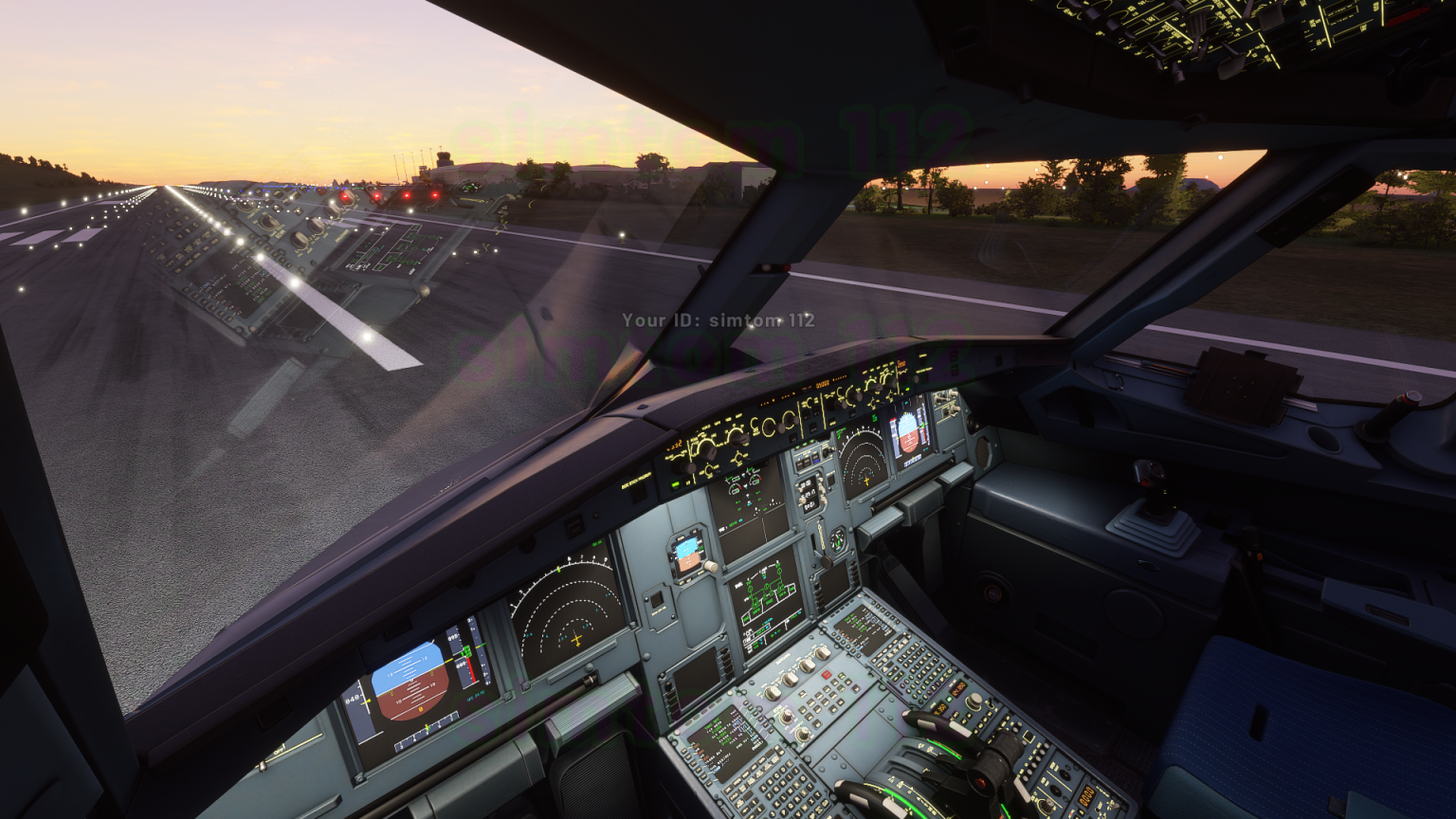 flight simulator 6