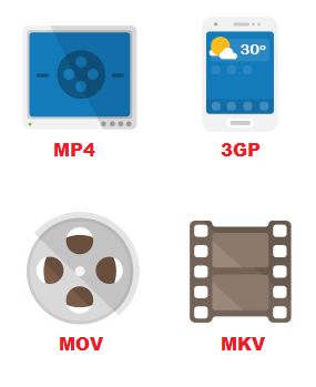 video format 1