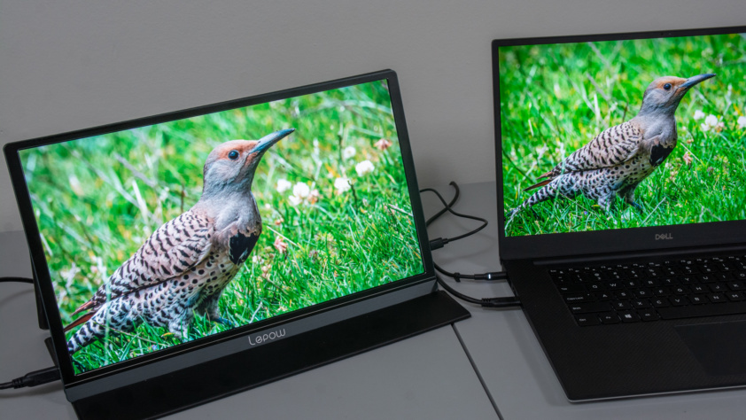 Lepow 15.6" Z1-Gamut Portable Monitor