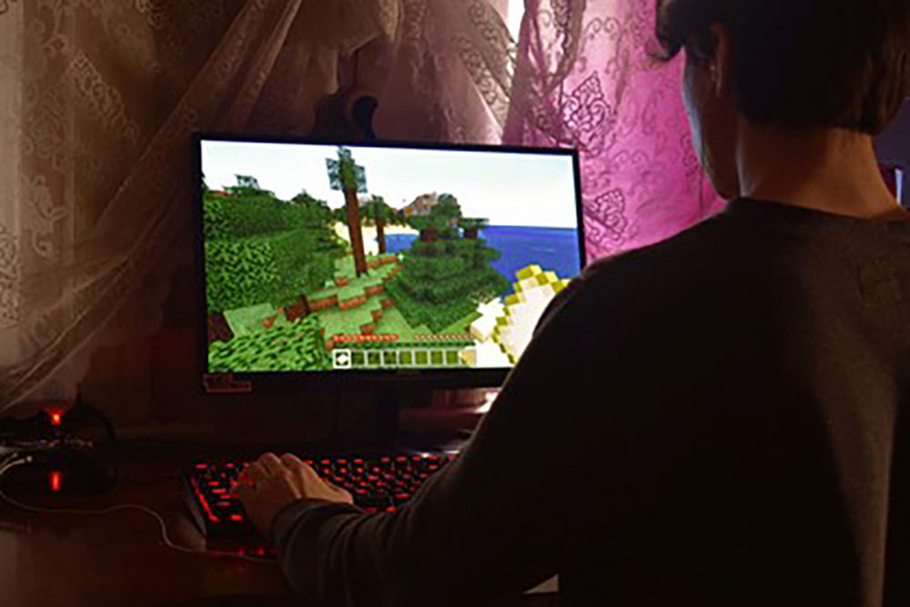 minecraft gamer 1