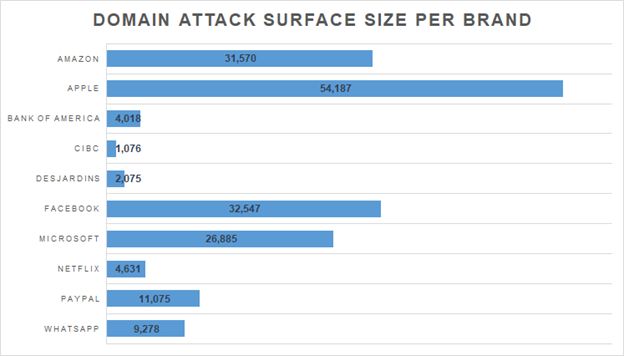 domain attack