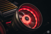141038733 3688253207932640 1623656371204268680 o