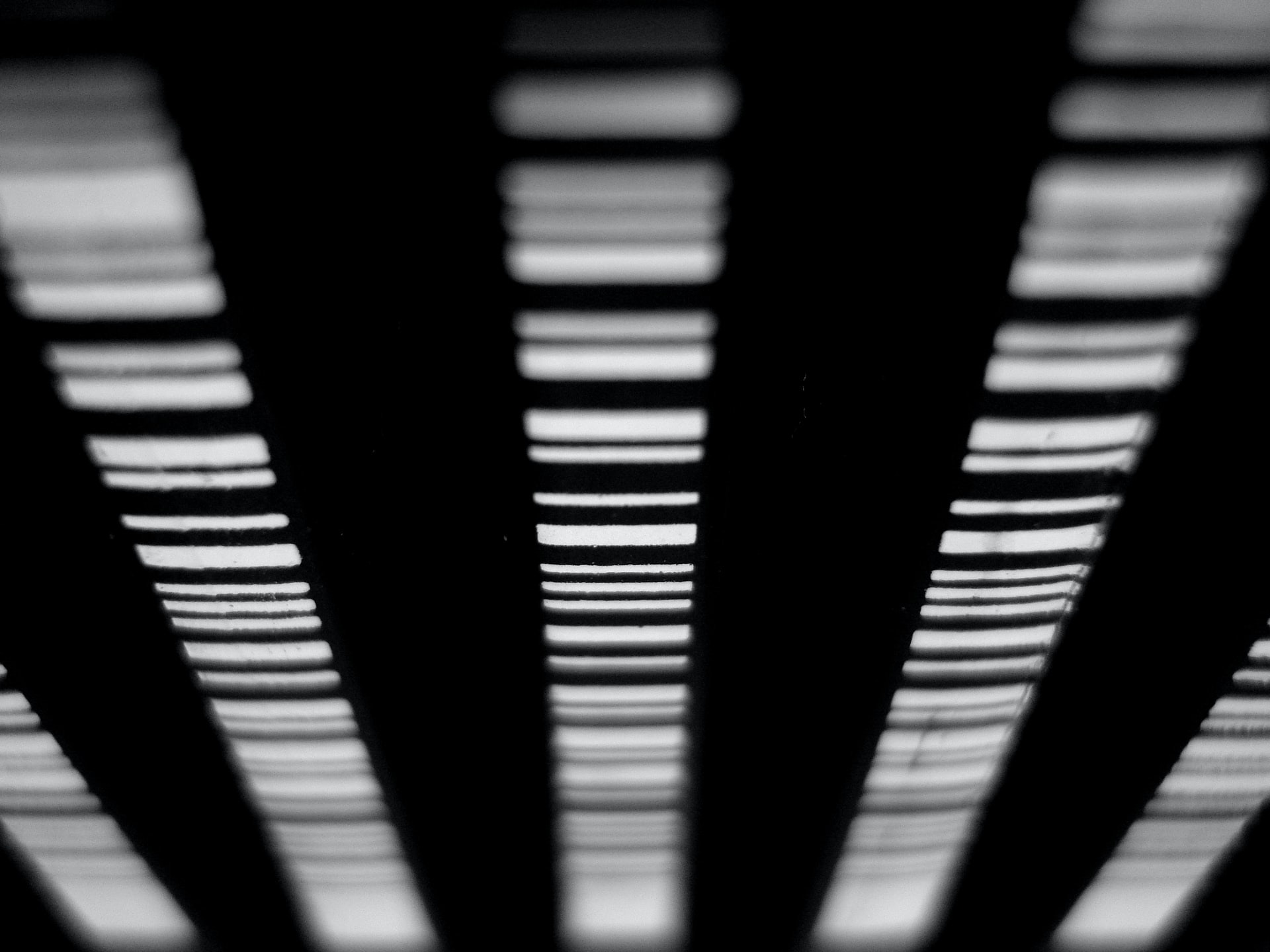 david pl WccNTUvnPU unsplash