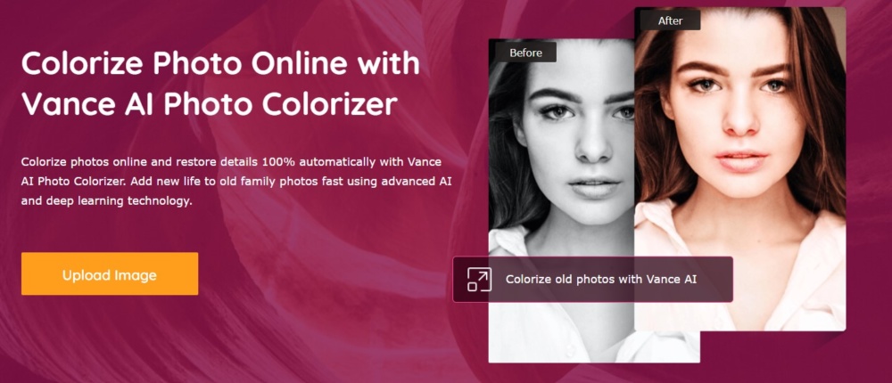 vance ai photo colorizer