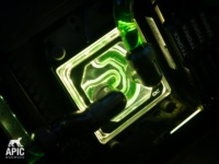 162045403 1292289204490308 759138352124222263 o