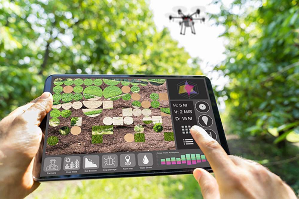 agriculture 2021