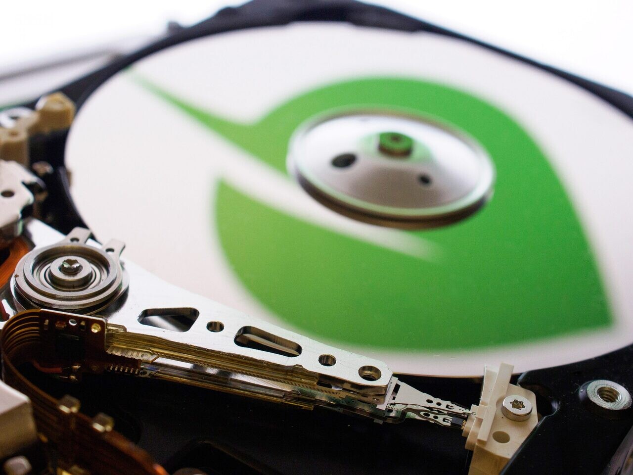 chia hard drive