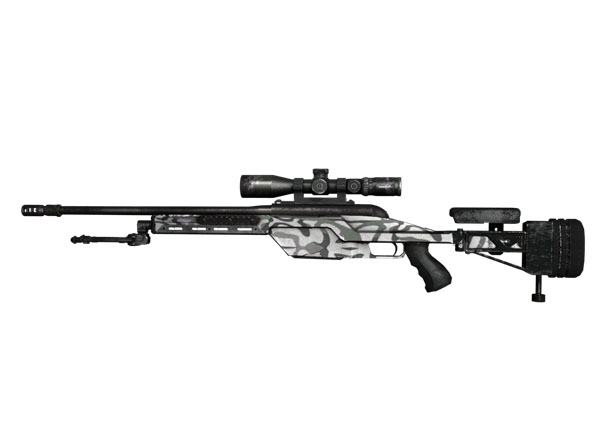 cs skin 1