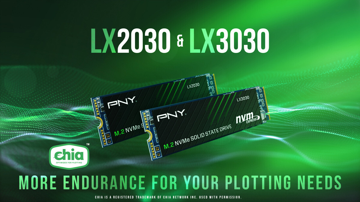 pny chia 1