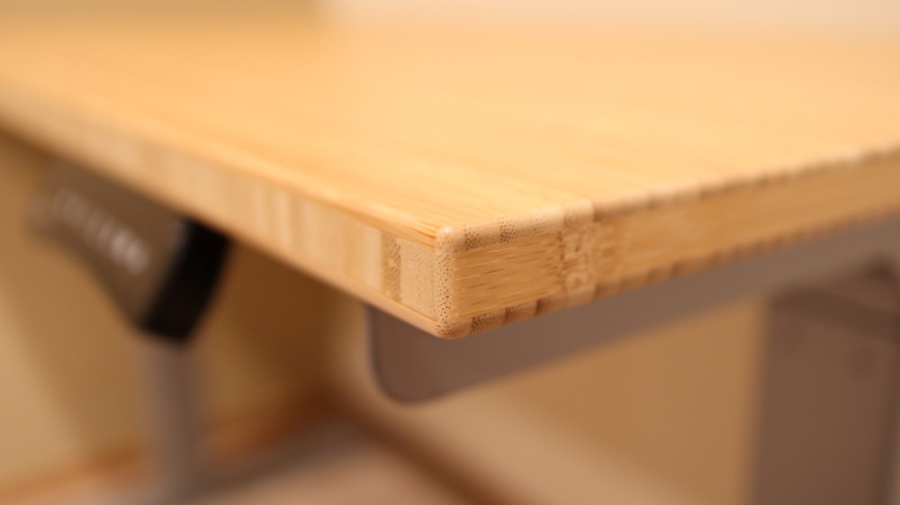 FlexiSpot Pro Series