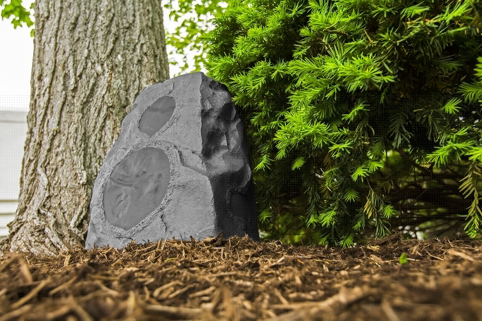 rock speakers