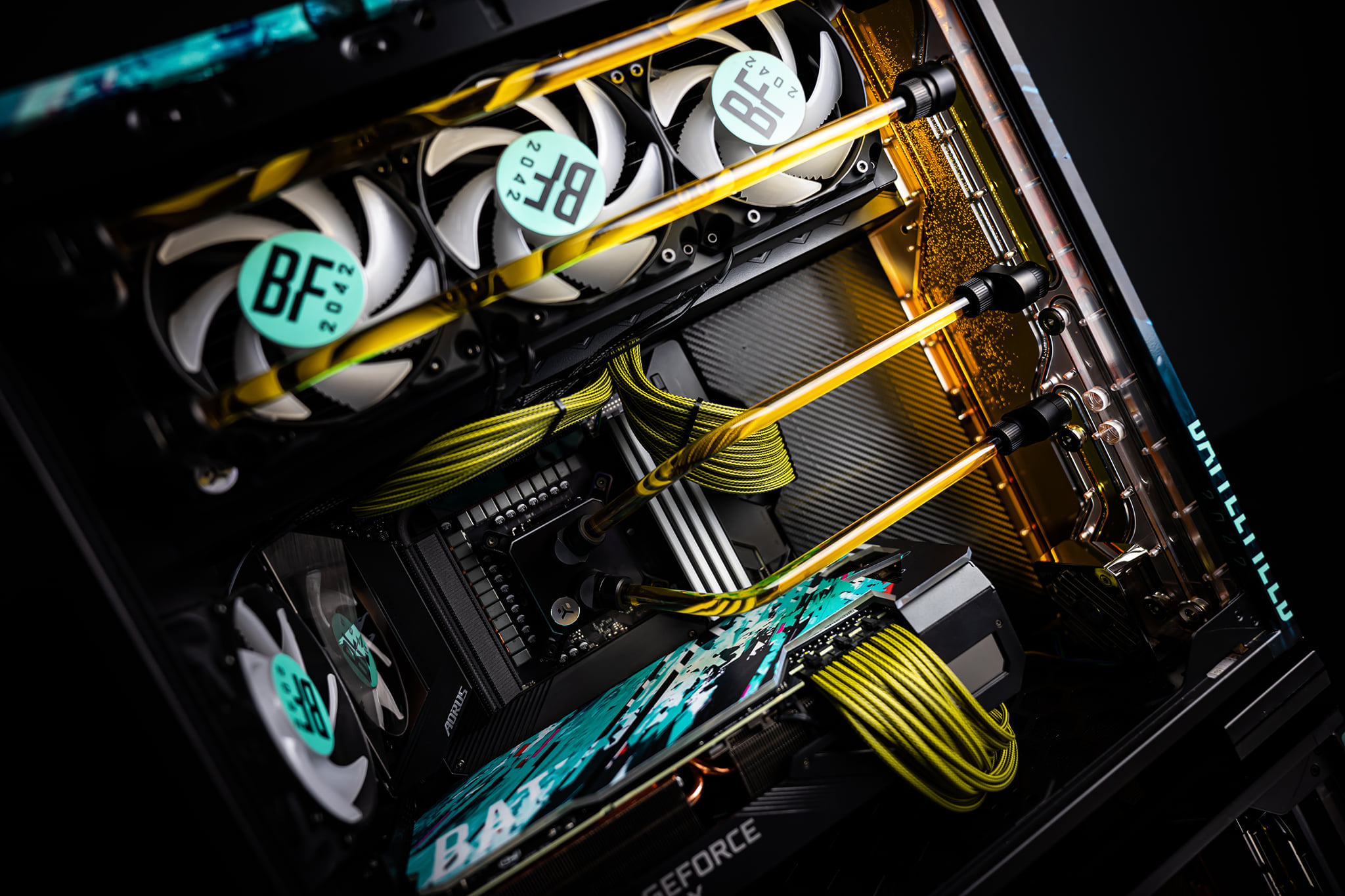 252152332 4479205692173434 1678674685601066840 n